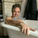 tray-icon
